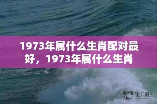 1973年属什么生肖配对最好，1973年属什么生肖插图