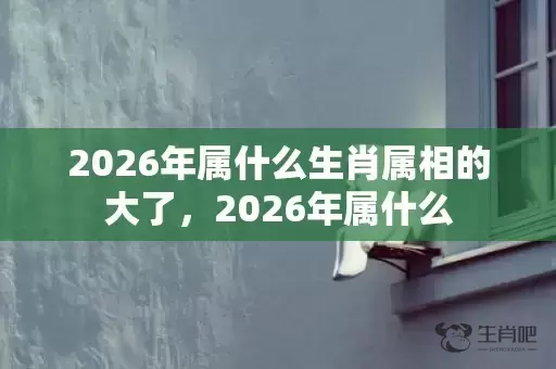 2026年属什么生肖属相的大了，2026年属什么插图