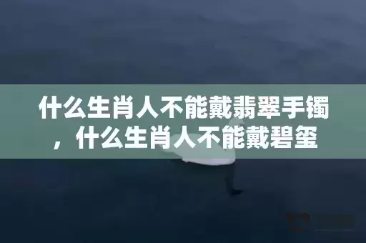 什么生肖人不能戴翡翠手镯，什么生肖人不能戴碧玺插图