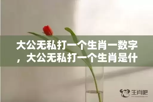 大公无私打一个生肖一数字，大公无私打一个生肖是什么插图