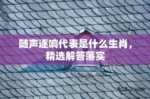 随声逐响代表是什么生肖，精选解答落实插图