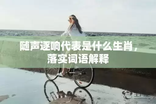 随声逐响代表是什么生肖，落实词语解释插图