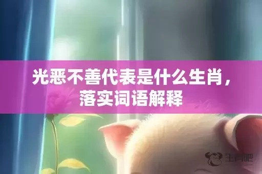 光恶不善代表是什么生肖，落实词语解释插图