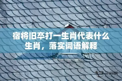 宿将旧卒打一生肖代表什么生肖，落实词语解释插图
