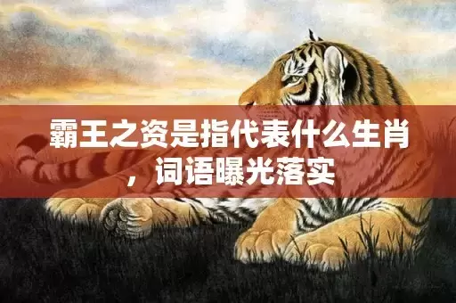 霸王之资是指代表什么生肖，词语曝光落实插图