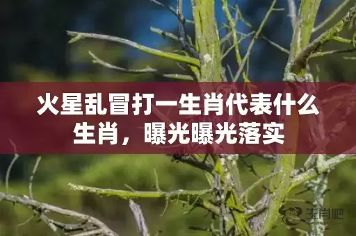 火星乱冒打一生肖代表什么生肖，曝光曝光落实插图