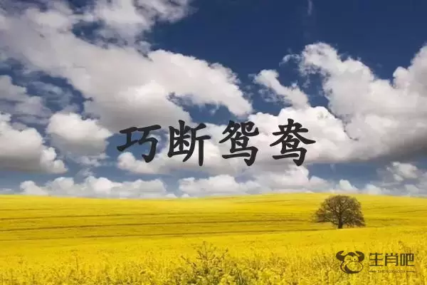 巧断鸳鸯是什么生肖插图