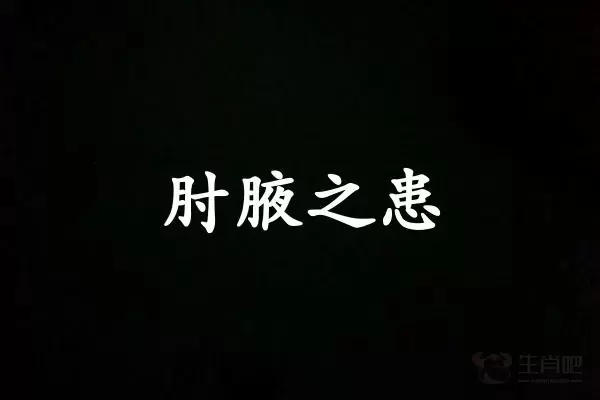 肘腋之患是什么生肖插图