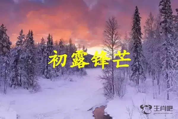 初露锋芒是什么生肖插图