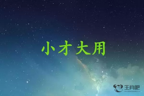 小才大用是什么生肖插图